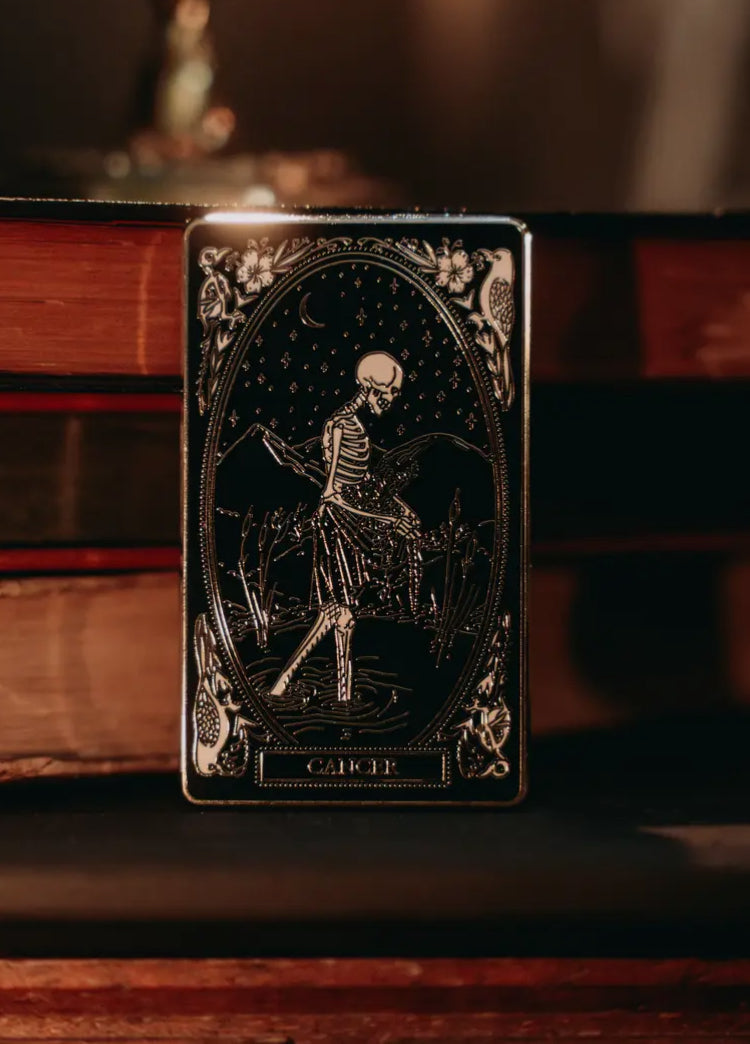 zodiac pins