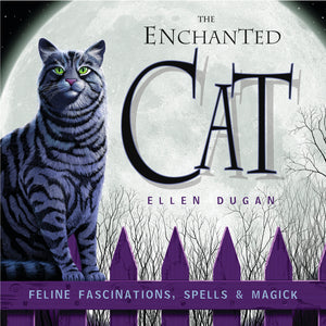 enchanted cat