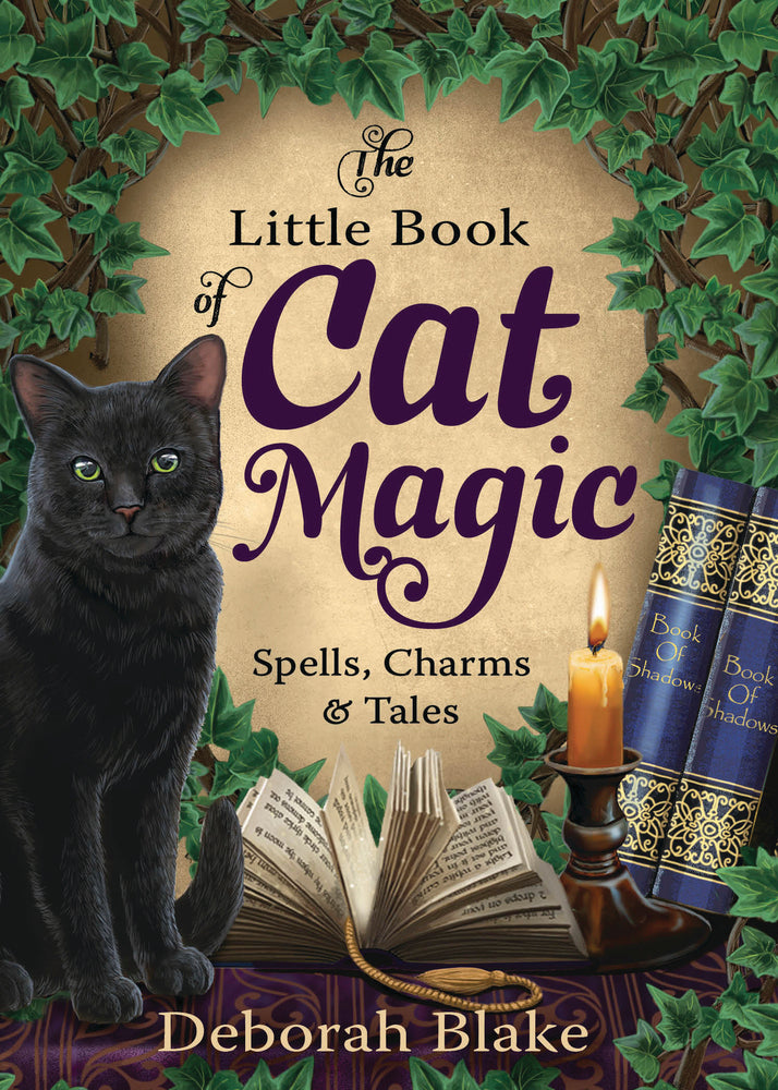 little book of cat magic