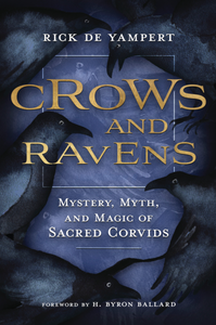 crows & ravens