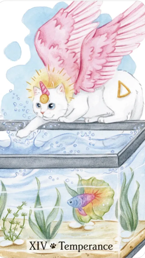 caticorn tarot