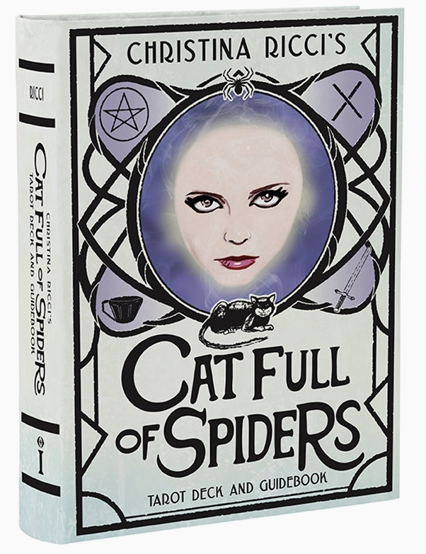cat full of spiders