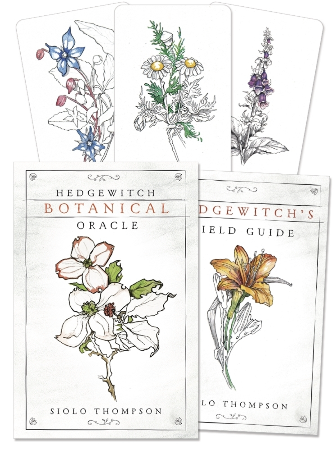 hedgewitch botanical oracle deck