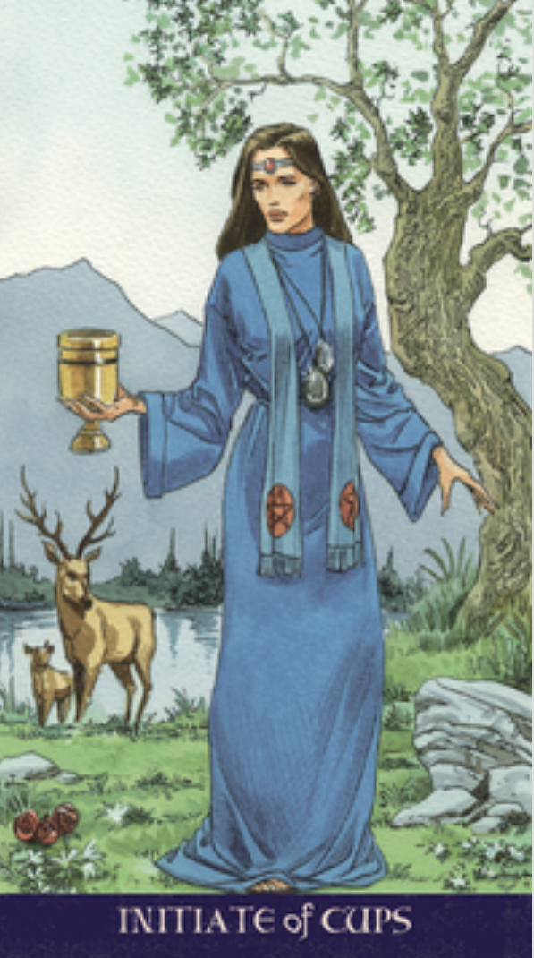 pagan tarot deck