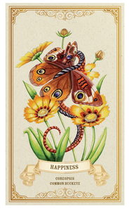 enchanted blossoms empowerment oracle deck