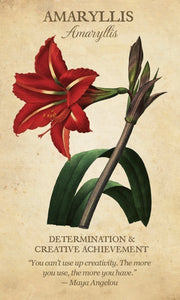 botanical inspirations deck